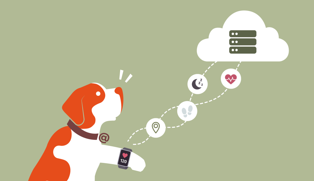 Wearables - eine coole Sache: Wie kann man diese sicher nutzen?