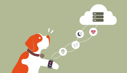 Les appareils connectés : des gadgets sympas, mais comment les utiliser en toute sécurité ?